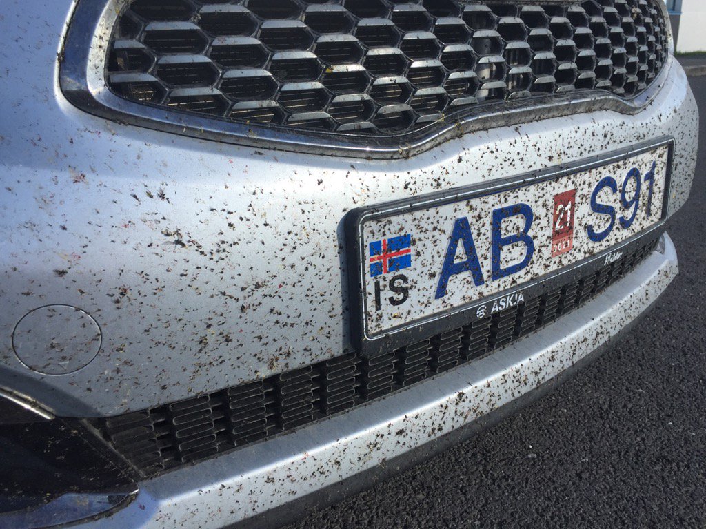 There are a lot less flies in Iceland now <a href="/ScoutMoot2017/">World Scout Moot2017</a>