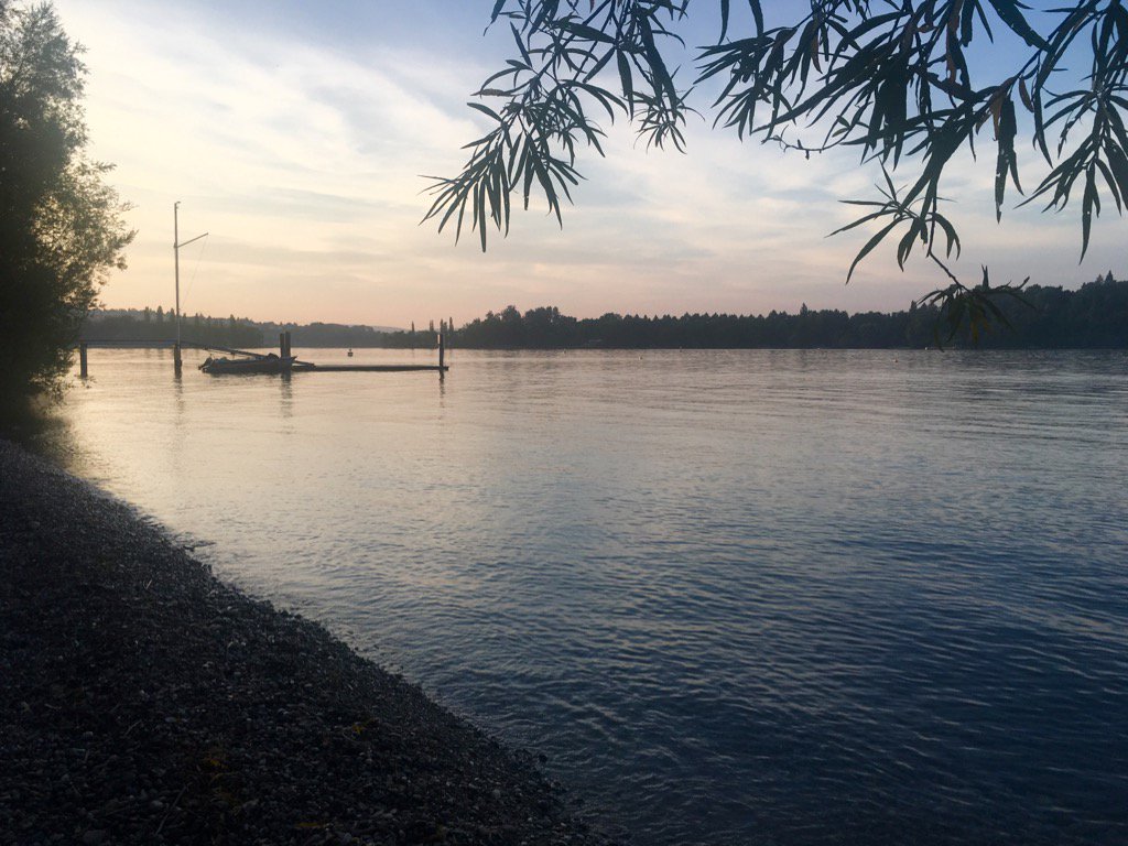 Interested in collective behavior? Would like to live here? Come join us at Max Planck <a href="/unikonstanz/">Universität Konstanz</a>. DM or email me!