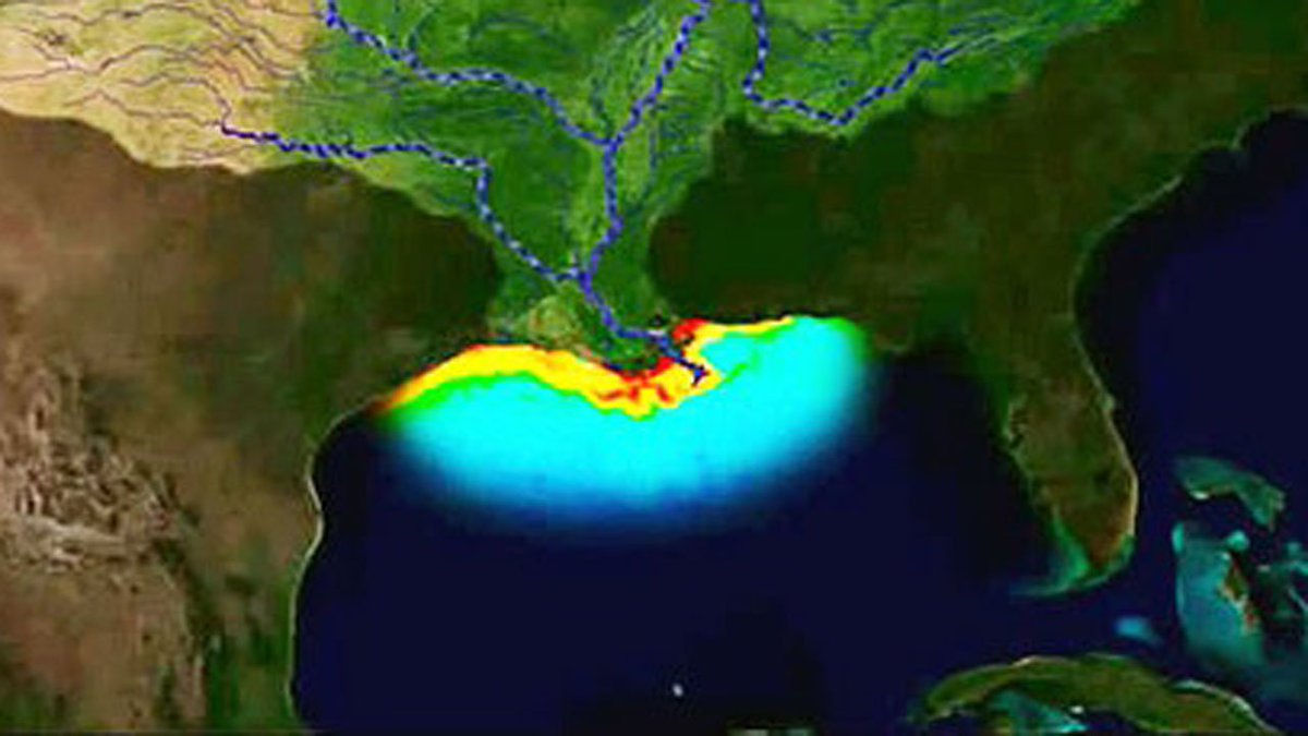 Unwanted record: Biggest ever dead zone in Gulf of Mexico bit.ly/2u4TEr4 https://t.co/sd3MpQjpMM