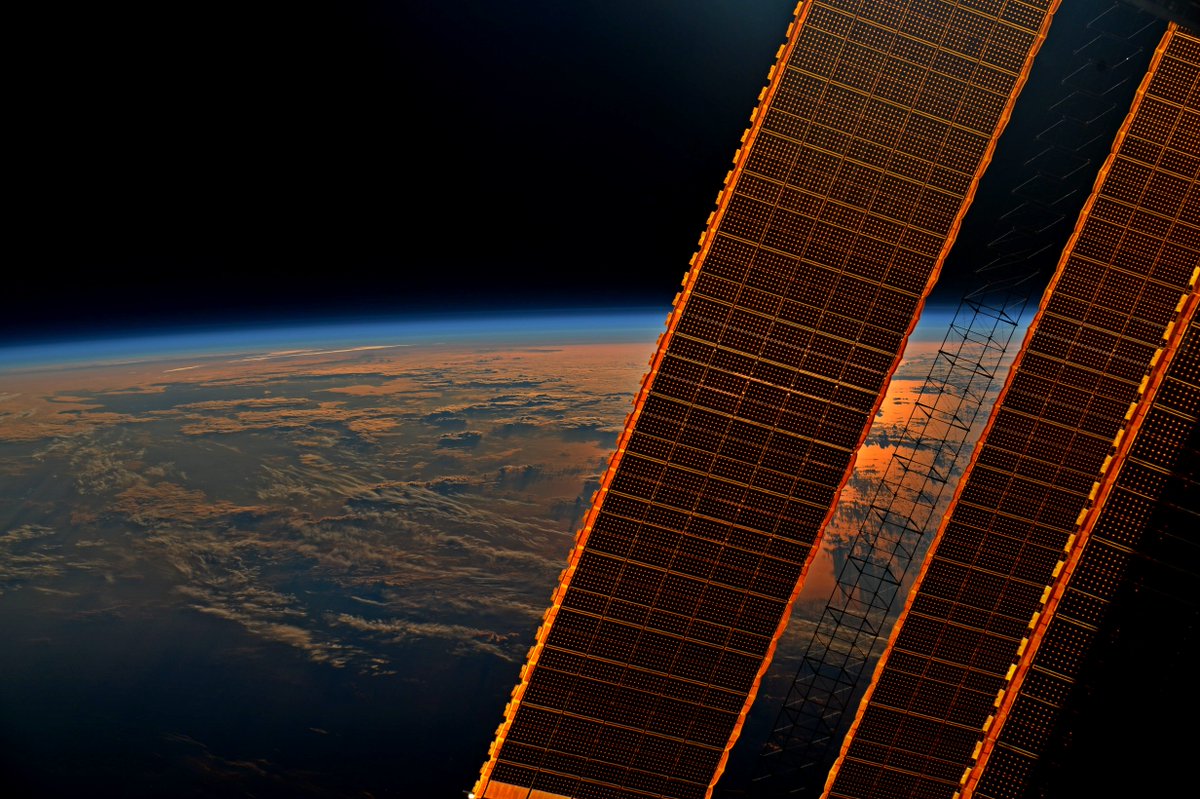 Jack Fischer tweet media