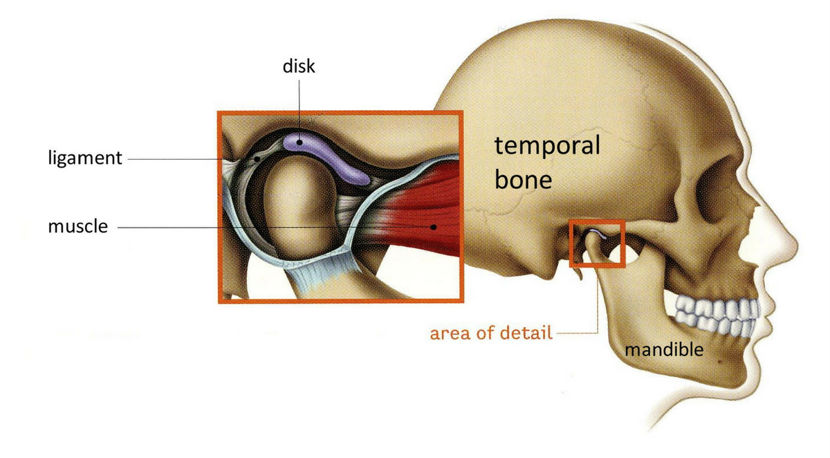 For those that don't want to go to Vegas for a week, we are offering #TMJ &amp; Advanced #MedicalMassage in one weekend!
abwedu.com/seminar-schedu…