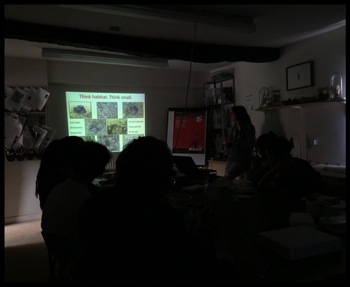 berrycroft_hub's tweet photo. The very last lecture for #BugFest17 is on dung beetles by @minibeastmayhem. No student will ever look at dung in the same way again! https://t.co/hzqkPJg3uF