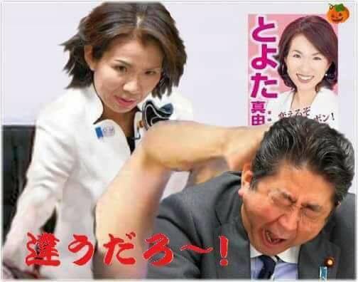 豊田真由子と安倍晋三