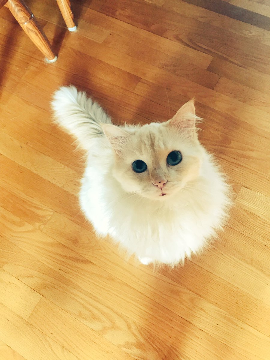 ItsMeDeaner's tweet photo. Since this happens all the time #sameposedifferentday I'll try a filter for fun https://t.co/KVP0IYt9zx