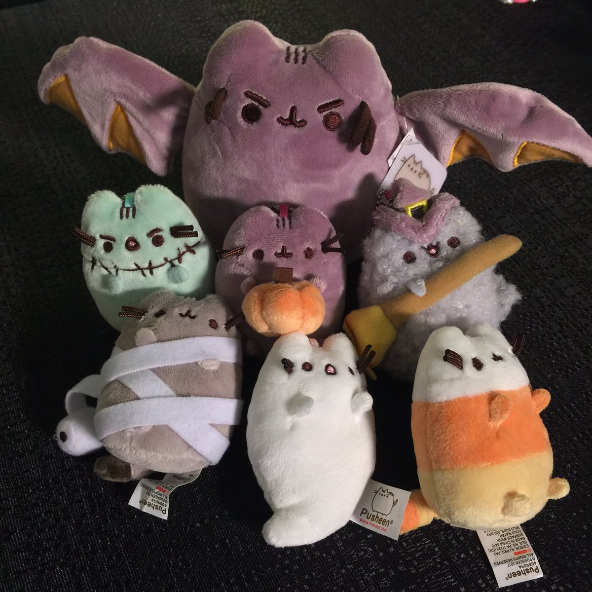 pusheen bat plush