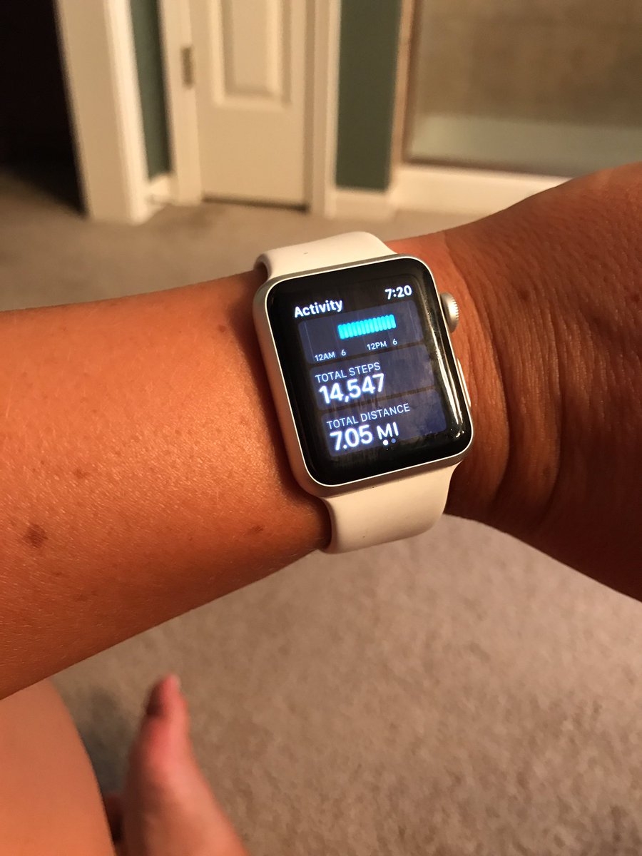 ShelbyMuha26's tweet photo. How many steps does it take to move into a new classroom/school? Today..a lot! #olathewest #fulltimegig #backtomorrow #owlup https://t.co/dGdLmd7hvS