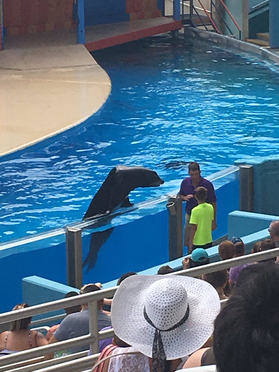 DokkanOg's tweet photo. Always a great time @SeaWorldTexas https://t.co/3faXNyu9QF