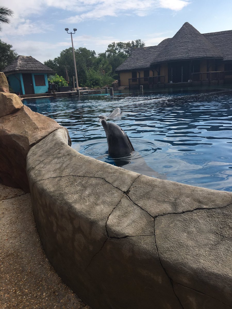 DokkanOg's tweet photo. Always a great time @SeaWorldTexas https://t.co/3faXNyu9QF