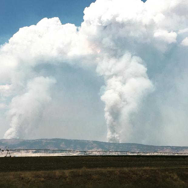 CalDisasters's tweet image. #ModocJulyComplex on #ModocNF has burned 73,735 acres &amp;amp; is 35% contained. inciweb.nwcg.gov/incident/5415/