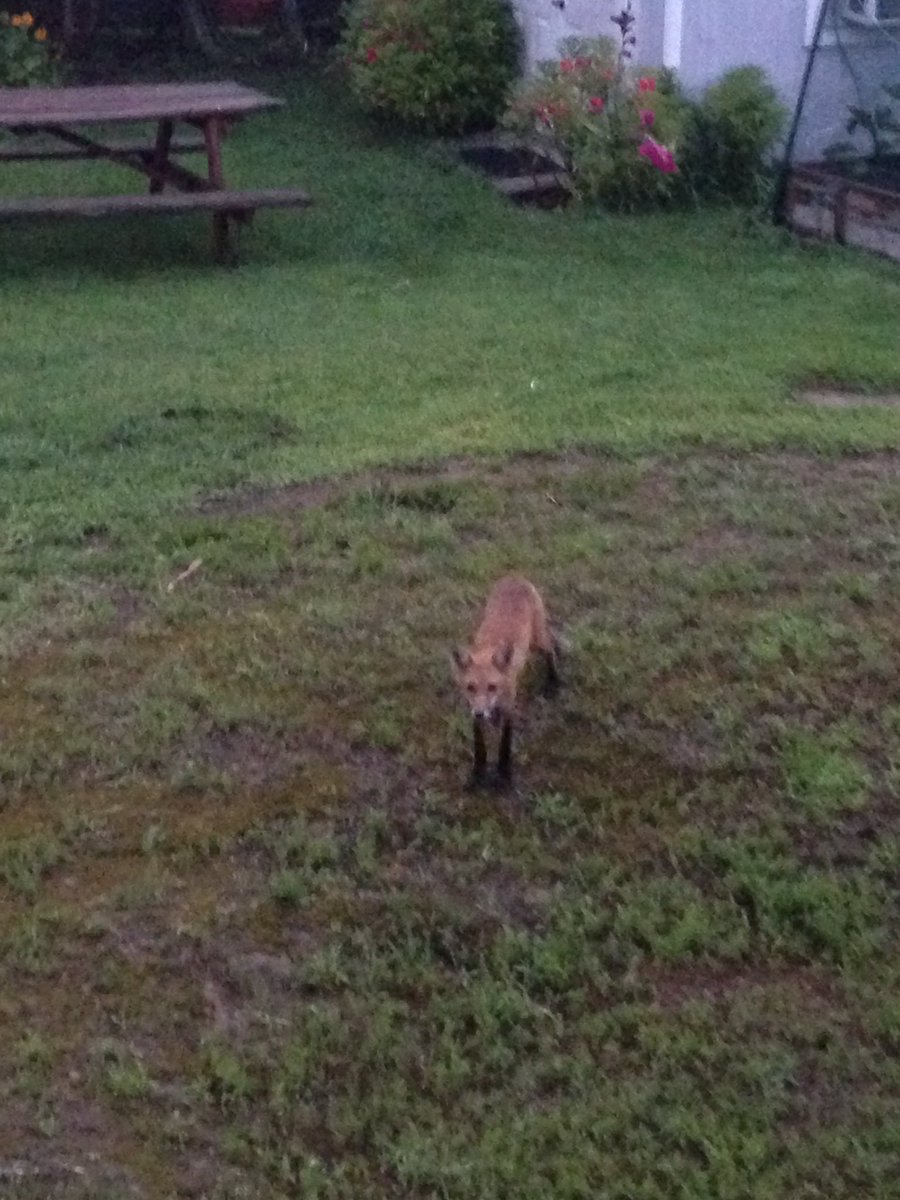 Brian Kozaczek tweet media