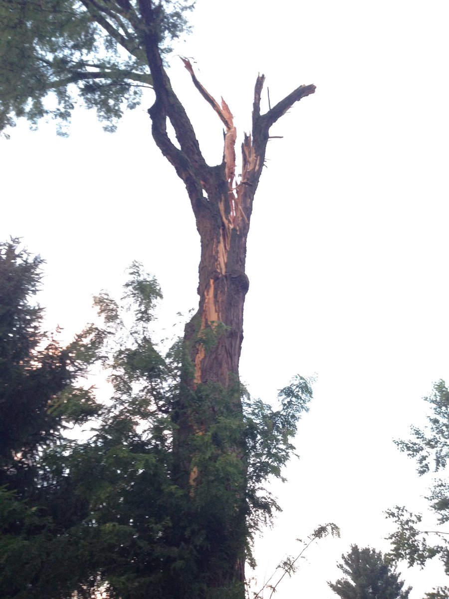 Brian Kozaczek tweet media