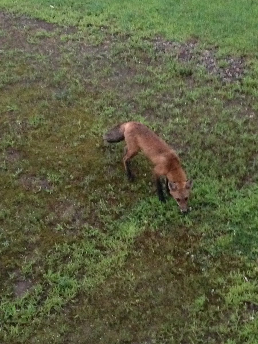 Brian Kozaczek tweet media