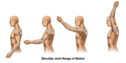 pw_chiro's tweet photo. Fix your overhead position tonight at "Lifting with the Doc" @hardexercise in Palm Beach Gardens at 7 pm!! #PalmBeachGardens #shoulderfix https://t.co/dHnVYKSdF1