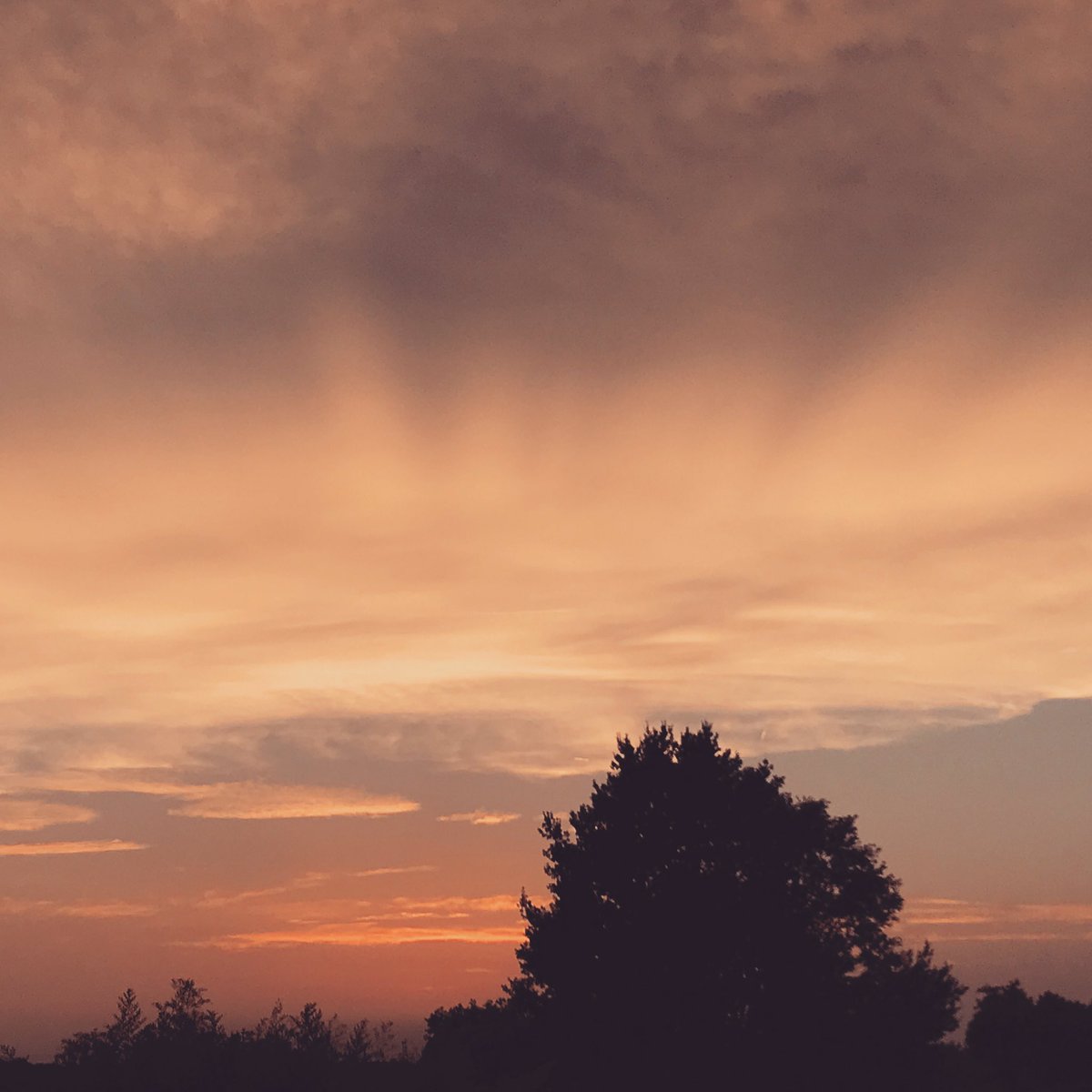 nana__osakii's tweet photo. Actual sky outside. 
I know You are there Chester. You are hiding behind those clouds💔 #chester #ripchester #AddOneMoreLight #linkinpark https://t.co/sPcg5ISvYh