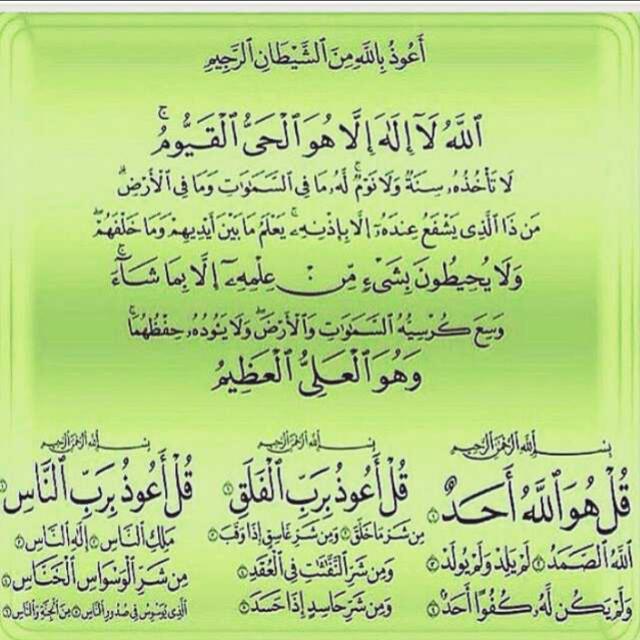 لكل من يدخل هنا اكرموني بريتويت لعلها تشفع لي ولكم يوم القيامه 🕊💗.