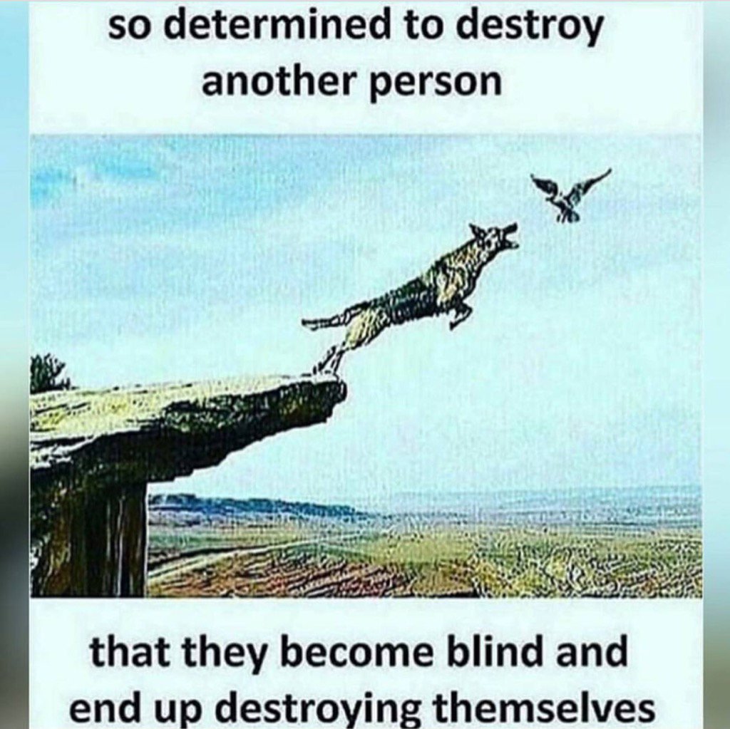 thatsambition's tweet photo. Don't be your own undoing!🙌#donthate https://t.co/agx1r4PcN7