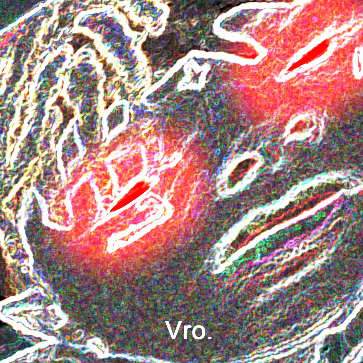 CLOUTCATCHER's tweet image. LADIES IF U EATIN ASS SMASH THAT MF LIKE BUTTON