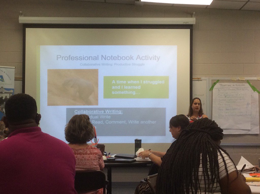 SREB Presenter, Leslie Eaves, does a fantastic job leading the Project-Based Learning session in Louisburg, NC.