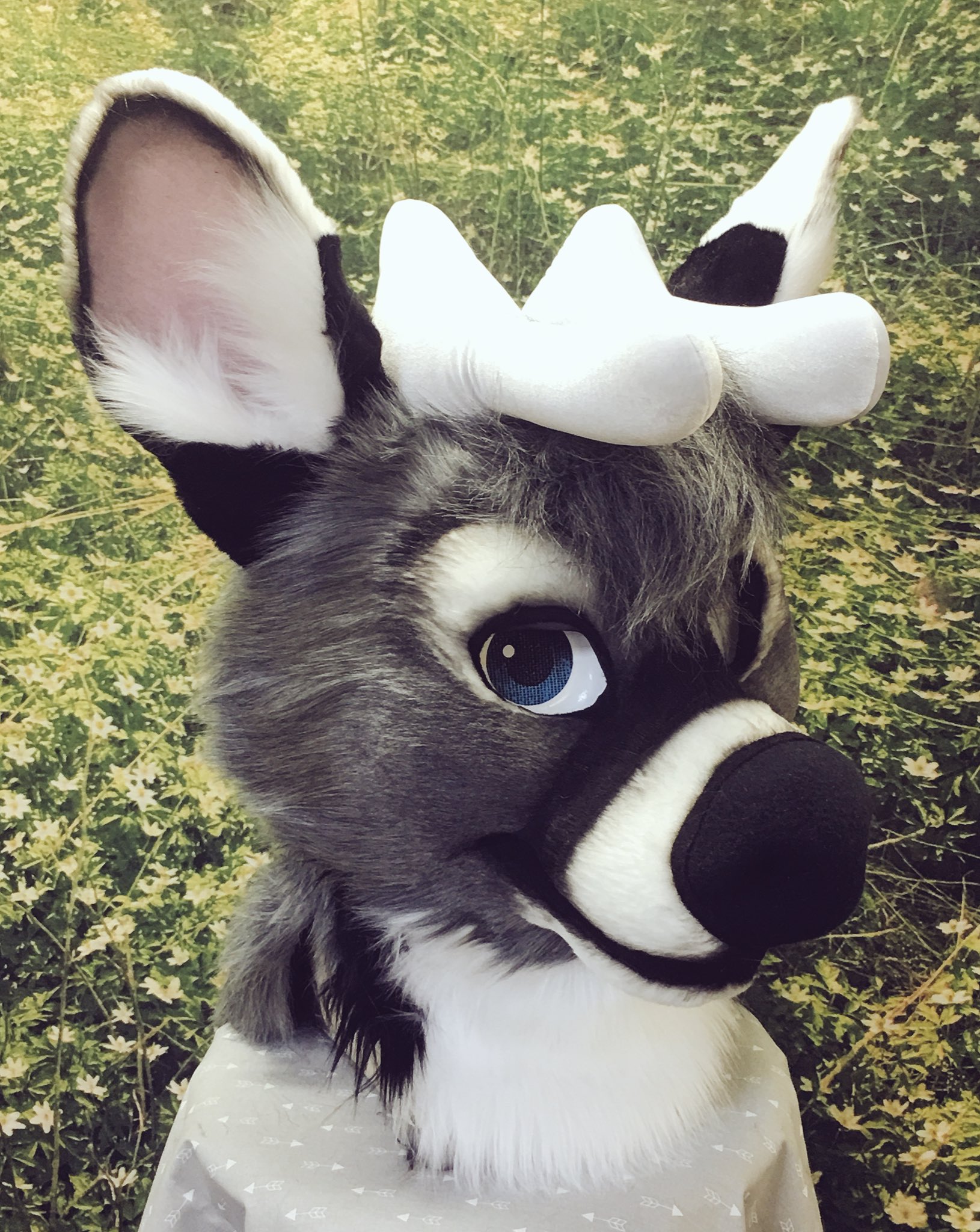 2*o様 BAA COSTUME MFG. \"MOLT DEER SKIN 2 media__37518.1353439934.386.