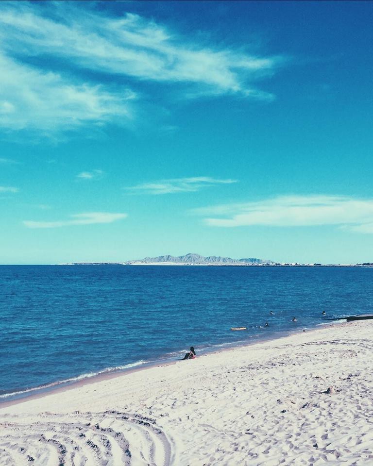 San Felipe, Baja, Mx tweet media