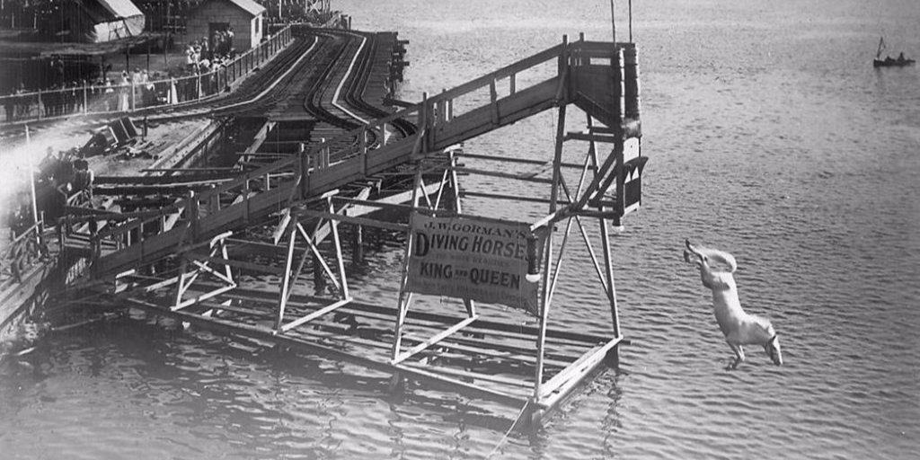 secretcitygames's tweet photo. What's happening here?! More about 'Torontonian Fun of Yesteryear' on our #CuriosityBlog! Read the post here: https://t.co/NPivnUF89N https://t.co/oczshWngxB