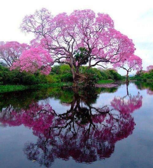 Thesecretp's tweet photo. "La vita è un mistero da vivere, non un problema da risolvere" (Osho) #viewchange https://t.co/8fnS5UWbN6