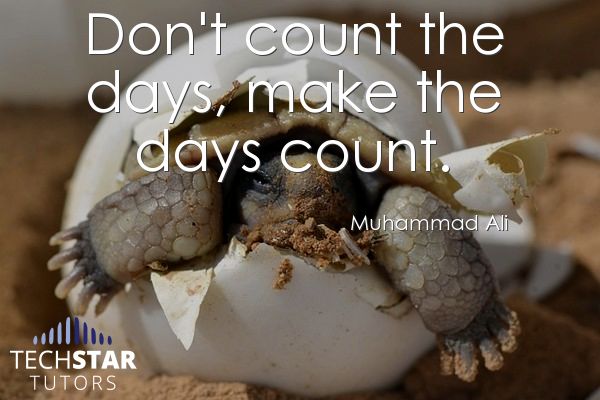 TechStarTutors's tweet photo. "Don't count the days, make the days count." -Muhammad Ali
#WednesdayWisdom #WisdomWednesday #Life #Quotes #QuoteOfTheDay #MuhammadAli #RVA https://t.co/PQhqL46QYz
