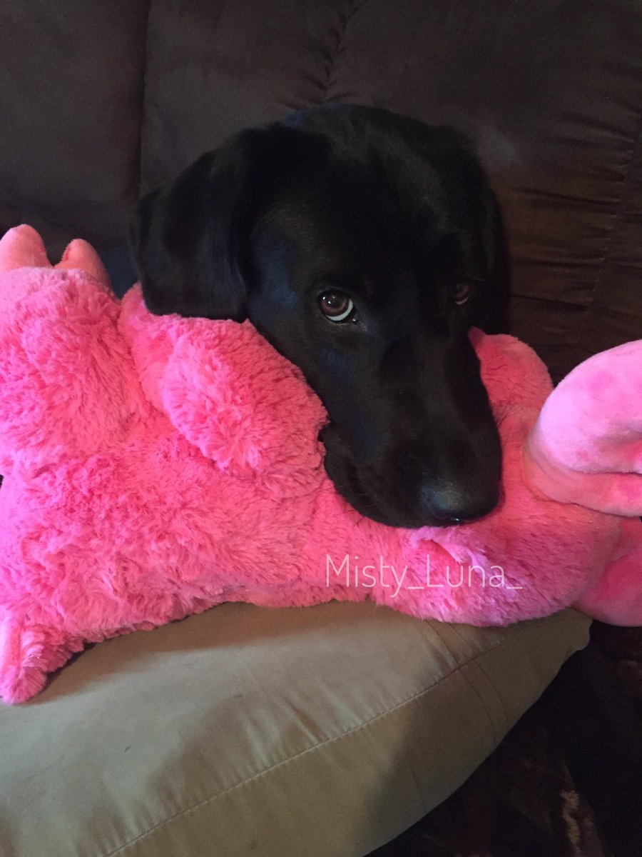 Lor69's tweet photo. I'm not letting you go to work tomorrow ! Got it 😳  follow me on Instagram Misty_Luna_ https://t.co/08XhD6YotG