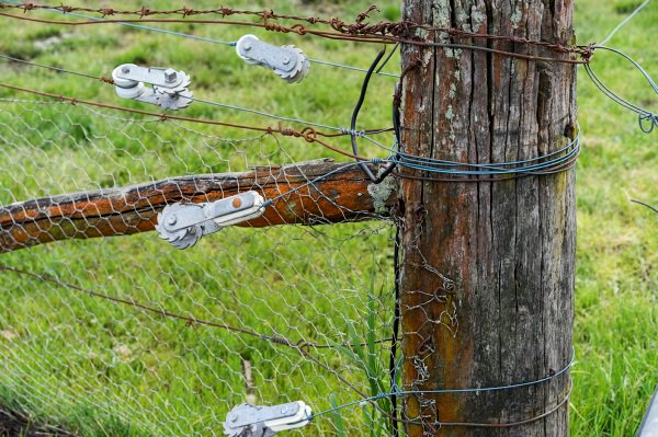 #ThrowbackThursday to when PwC Strategist Jared Van Huenen taught us how to bring design thinking to a #8wire idea: pwc.nz/2vjZKDX