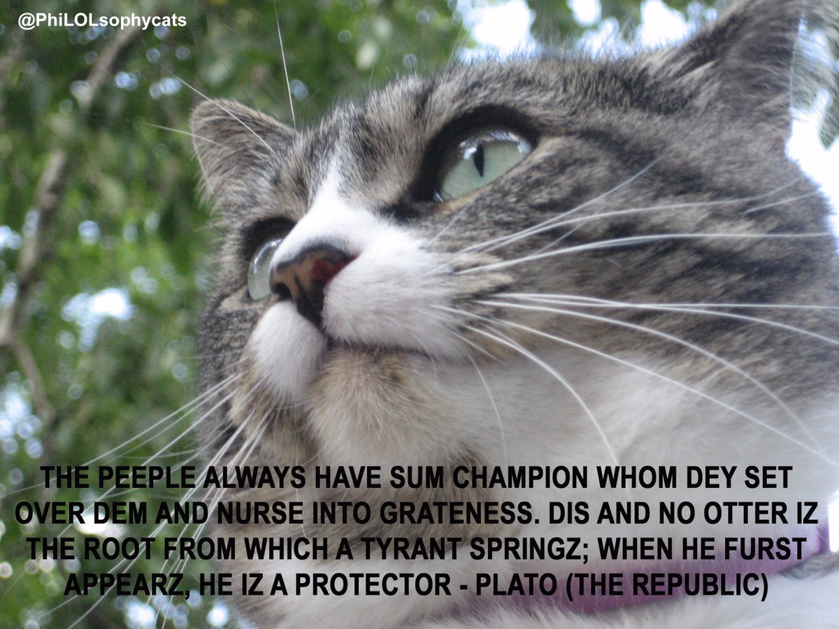 PhiLOLsophycats's tweet photo. As the old saying goes, "never underestimate the wisdom of cats and ancient Greeks." @TheSchoolOfLife #Philosophy #Plato #cats https://t.co/RVcWWZqWgg