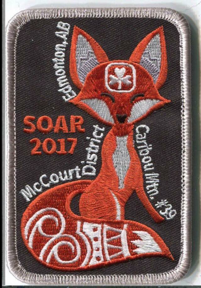 The leaders back here have serious Badge envy of all the amazing crests our girls had <a href="/GGCSOARBC/">SOAR 2020</a> such amazing badges! #badgeaddicts