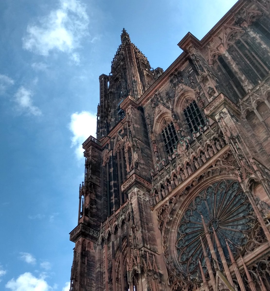 arraviatta's tweet photo. Strasbourg, Francia. 🇫🇷 
#alcase https://t.co/42kkzFS4Gw