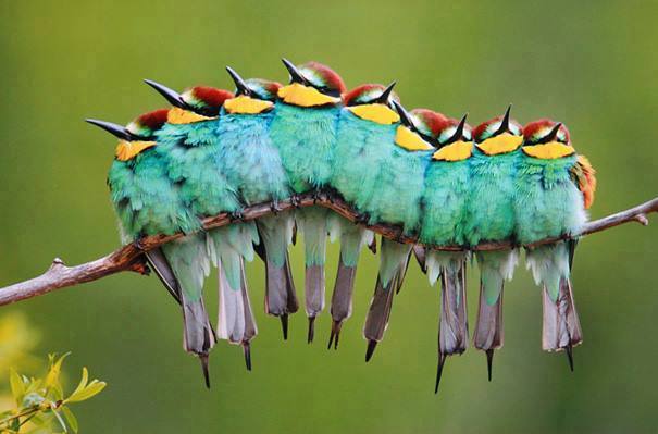 GlovesDriving's tweet image. I thought this was a caterpillar at first