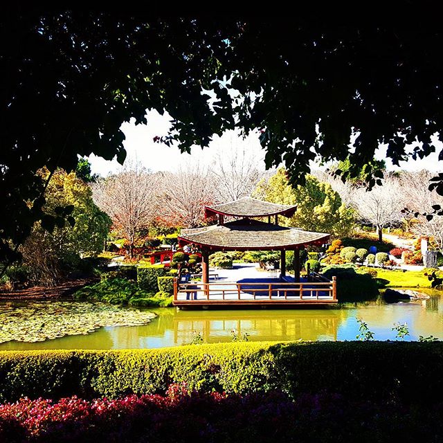 HunterValleyGardens tweet media