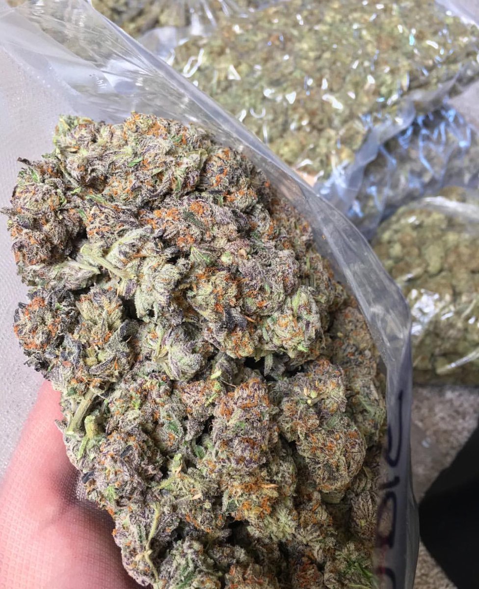 ParisDFarms tweet picture