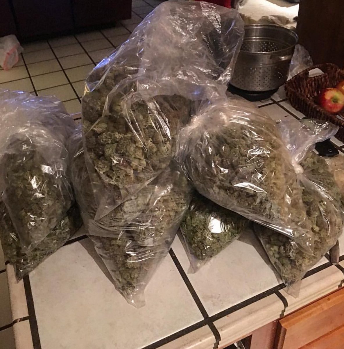 ParisDFarms tweet picture
