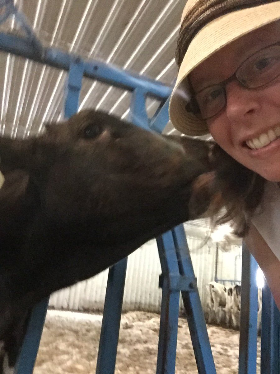 juleauld's tweet photo. Tried to take a selfie with Blue ... Blue tried to eat my hair😂 https://t.co/T41jhyGHfy