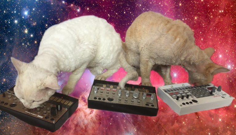 unicornsulting's tweet photo. Elvis and Ingvar experiencing #groupflow (no it's just catnip on the synths..#shhitsasecret)...or they would have … https://t.co/RsjDWWan5L https://t.co/tImKKo5kSv