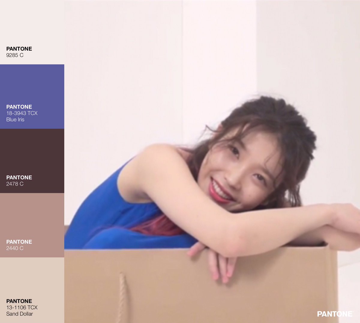 iu palettes (@iu_palettes) on Twitter photo 