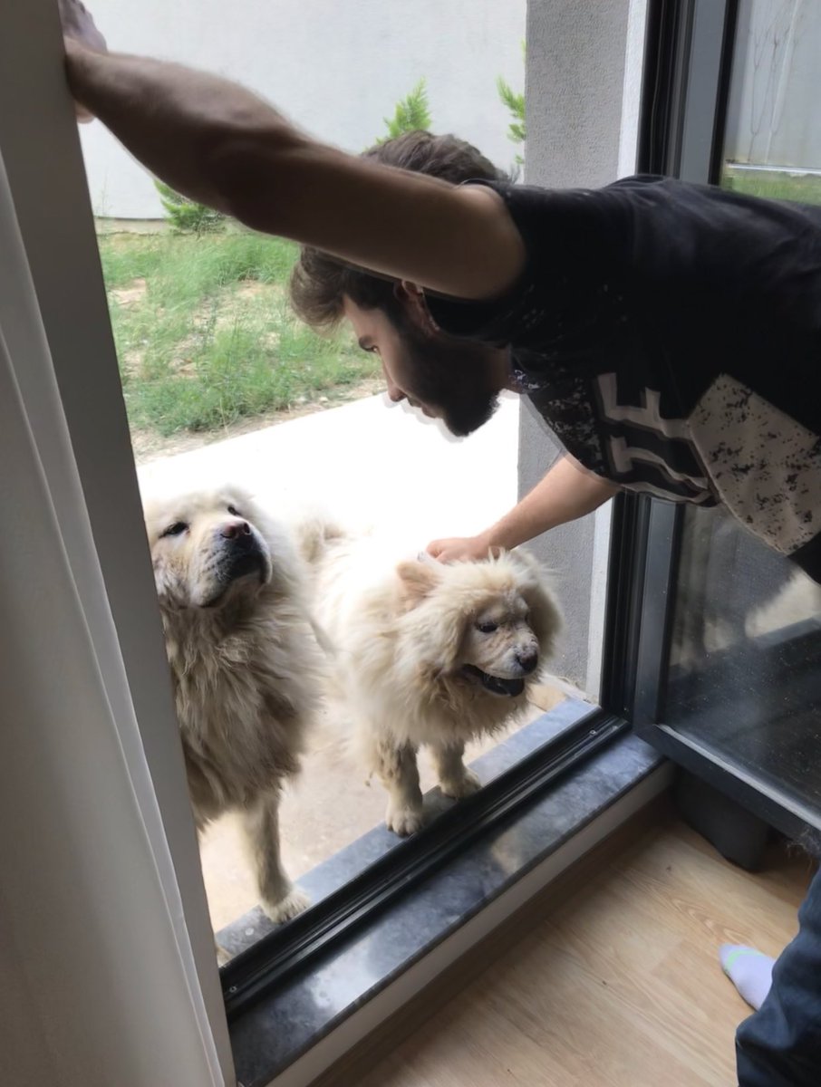 Bakma öyle salarım arslanı üzerine :D