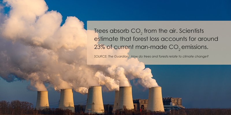 sbmmauritius's tweet photo. Say #NoToPaper, switch to e-Statement. #GoGreen https://t.co/57CXCayyZX https://t.co/PtOft7mT02