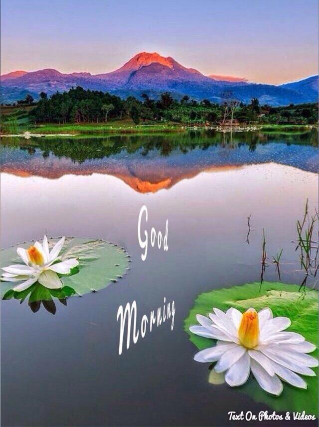 mogili prashanth prashanthmogil3 twitter twitter