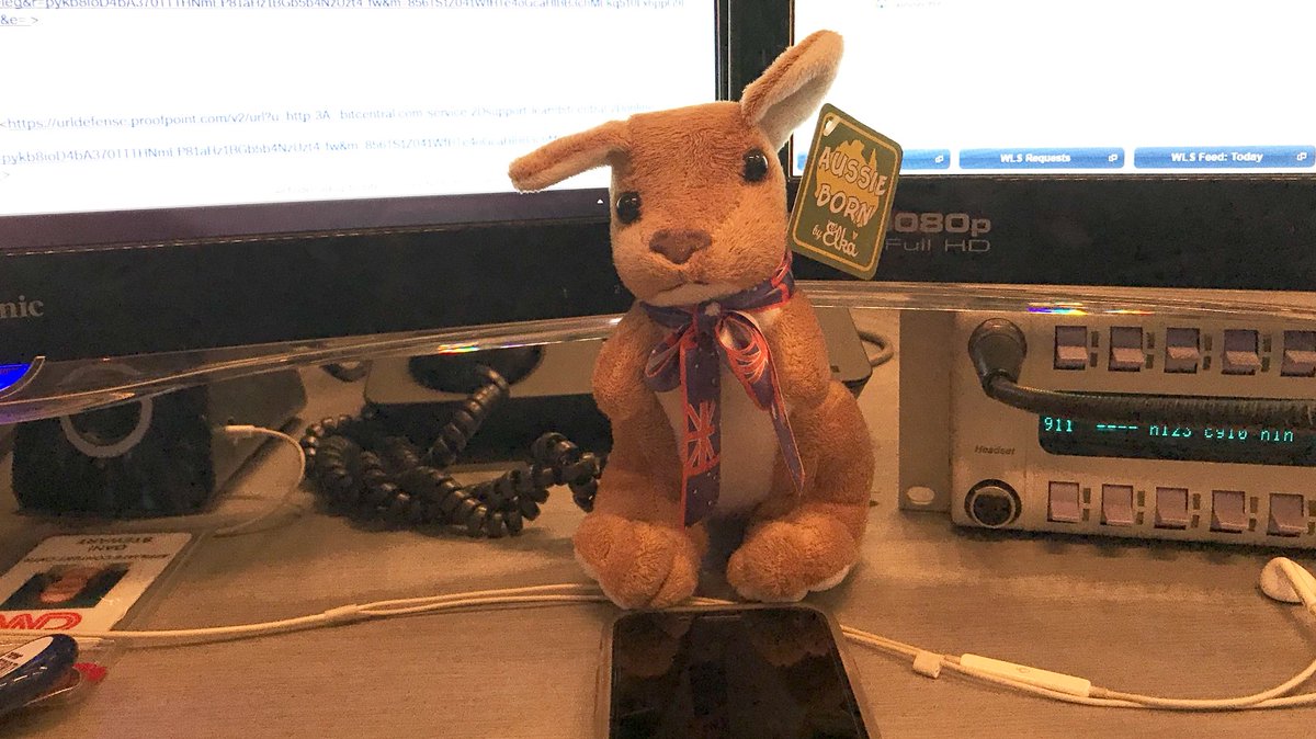 d_stew's tweet photo. Roo is helping to keep me sane. #Aussie #CNN #AustraliaOnMyMind #MissingOz https://t.co/AB7Rq4rGOt