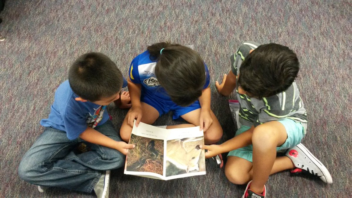 CVH_Boco's tweet photo. First graders enjoying partner reading and learning good reading habits @ChulaHills #readersareleaders https://t.co/mOHiopvE3J