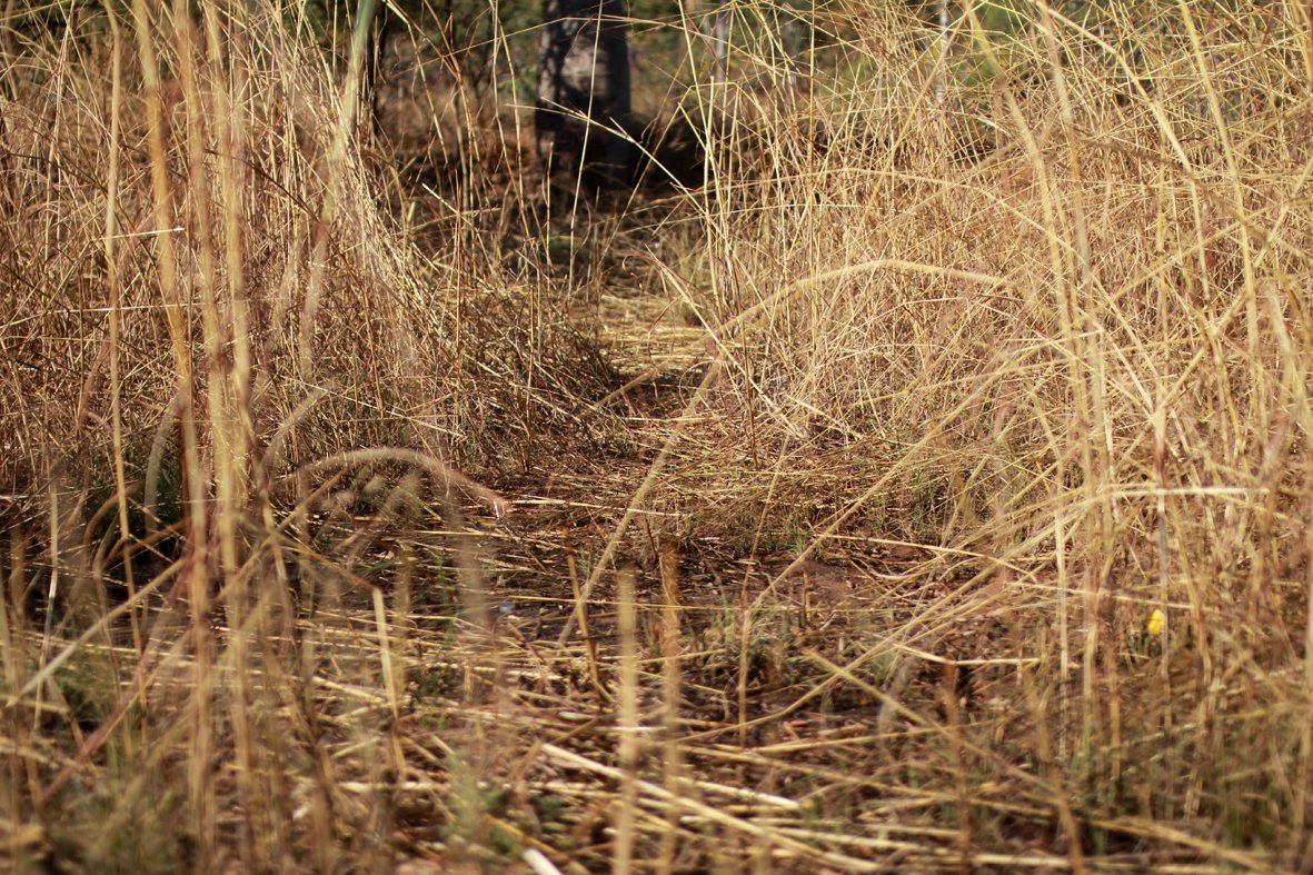 Chart Collective tweet media