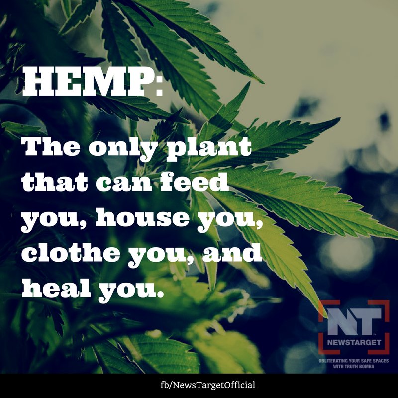 HealthRanger's tweet photo. What can hemp do for humanity? #hemp #marijuana https://t.co/mJn0D4vgSd