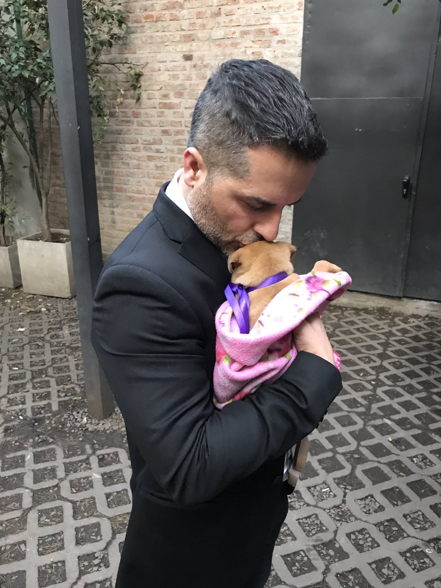 TodosporBigo's tweet photo. Gracias @AngeldebritoOk por solidarizarte con la búsqueda de #Bigo. Sos una gran persona. https://t.co/vBQozgvpSk #showmatch #Showmatch2017 https://t.co/LvdkKkZpiT