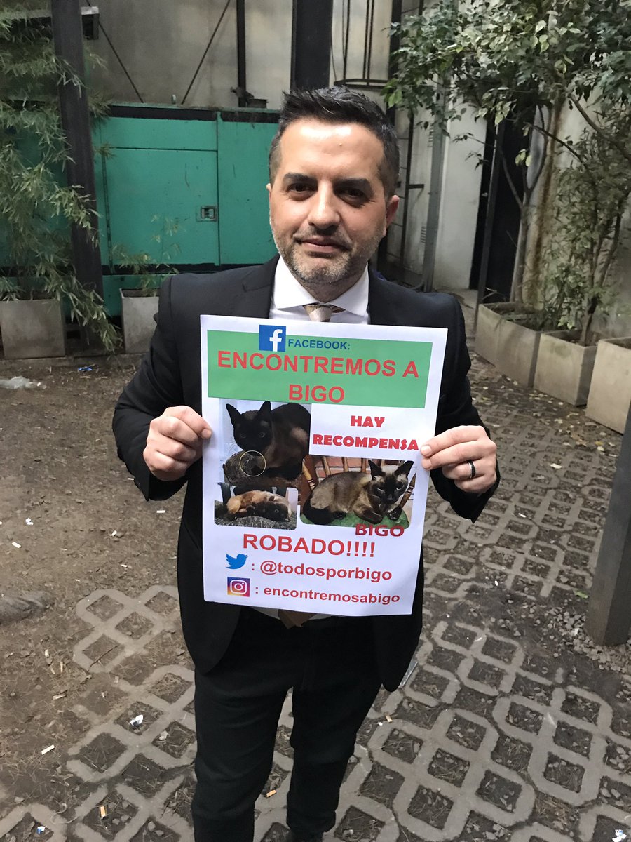 TodosporBigo's tweet photo. Gracias @AngeldebritoOk por solidarizarte con la búsqueda de #Bigo. Sos una gran persona. https://t.co/vBQozgvpSk #showmatch #Showmatch2017 https://t.co/LvdkKkZpiT