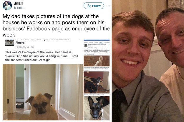 BuzzFeedNews's tweet photo. This dad takes pictures of dogs at his work and puts them on Facebook as "Employee Of The Week" https://t.co/PM3YiSZgEP https://t.co/nMaZbaVlGN