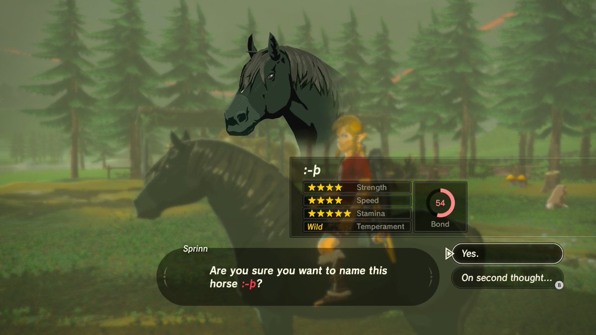 Funny horse names zelda